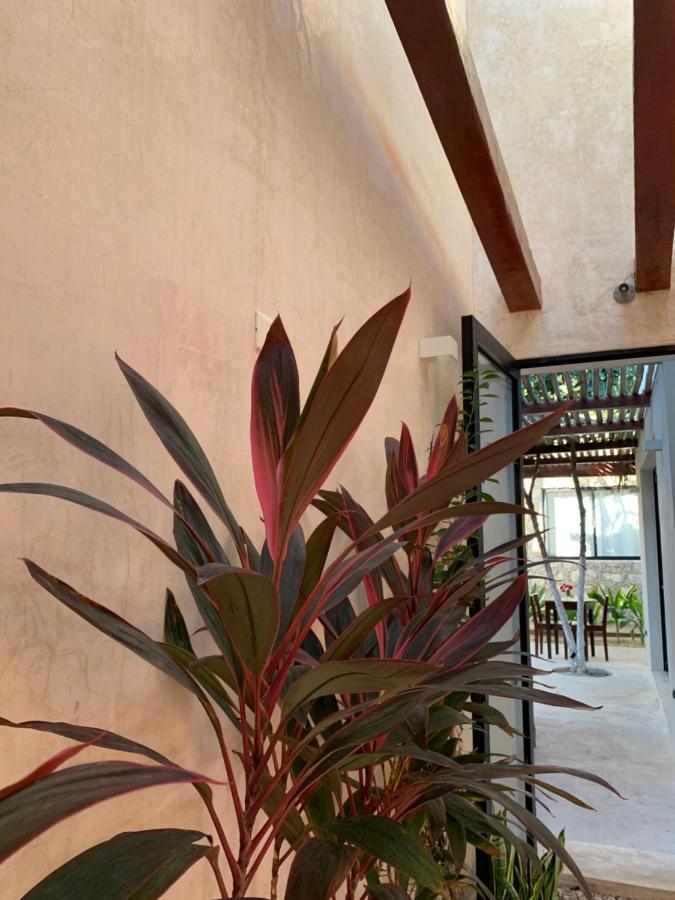 Pina Coloradas Ecolodge Yuluc Exterior photo